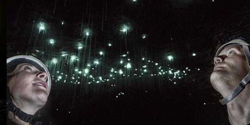 Glow Worm Cave Tour - Charleston
